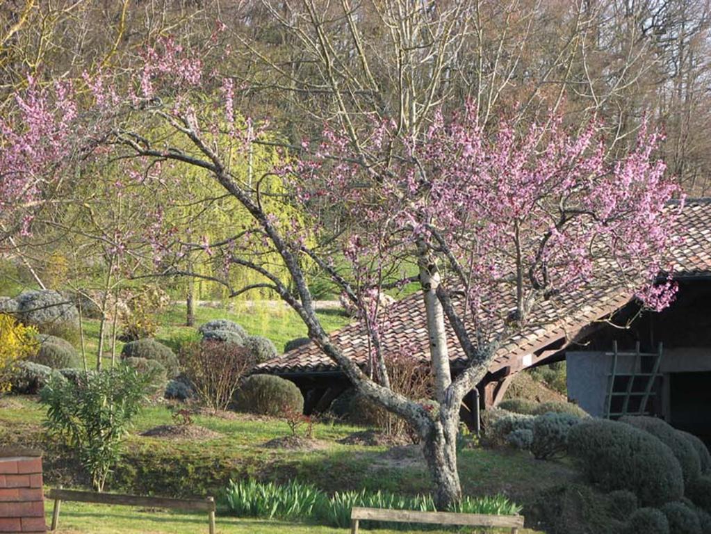 Saint-Pierre-de-Caubel弥散德雷查尔姆住宿加早餐旅馆住宿加早餐旅馆 外观 照片